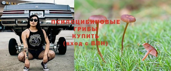 гашик Алексеевка
