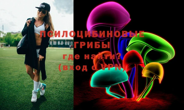 гашик Алексеевка