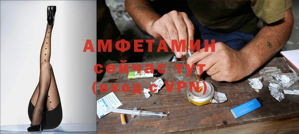 гашик Алексеевка