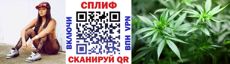 Марихуана гибрид  кракен ссылки  Гаджиево  цены наркотик 